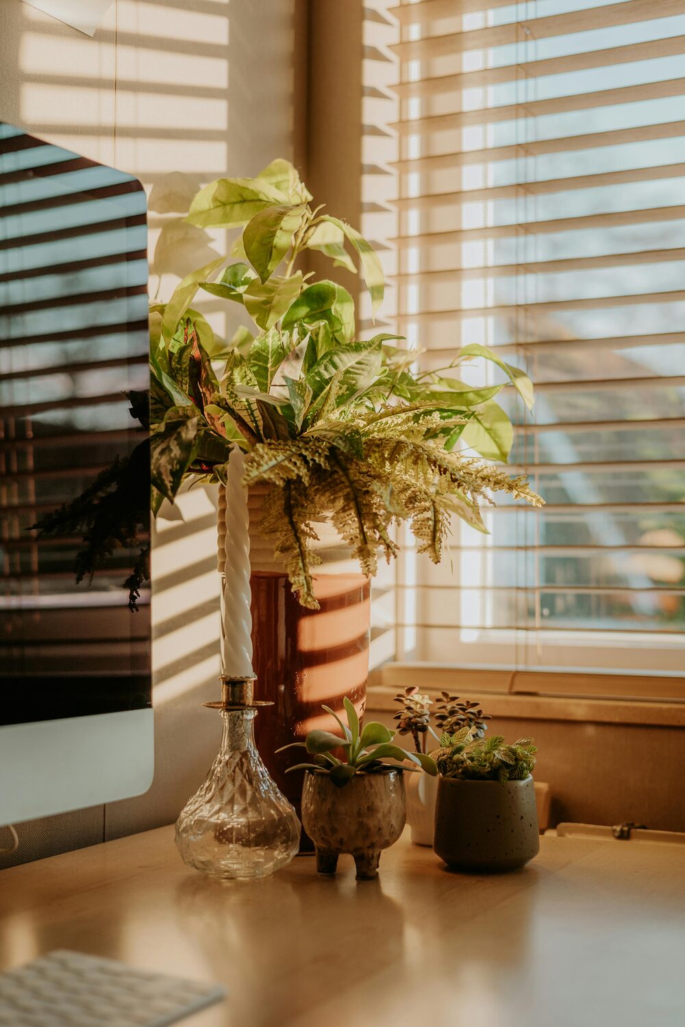 A calm, plant-filled corner with soft natural light